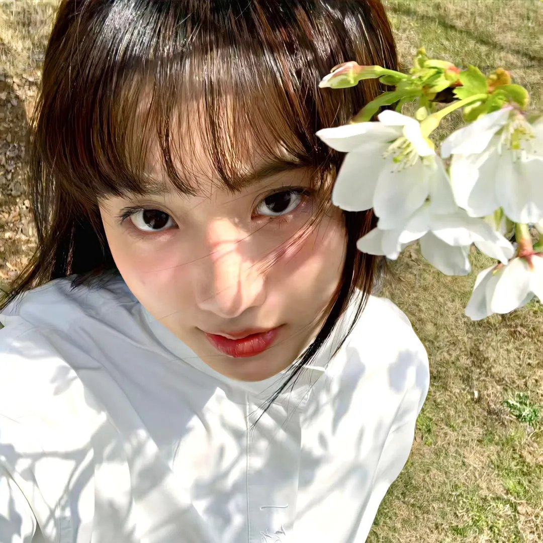 花非花